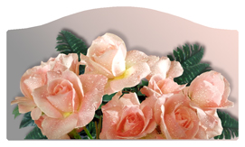 DASHELL-062 Bouquet Of Roses Peach